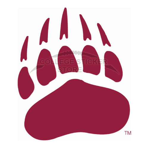 Personal Montana Grizzlies Iron-on Transfers (Wall Stickers)NO.5169